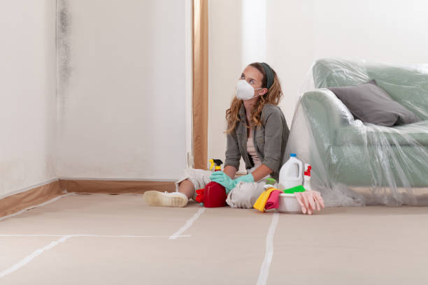 Reliable Mold Remediation contractor in Windsor, NJ by Cheap Mold Removal
